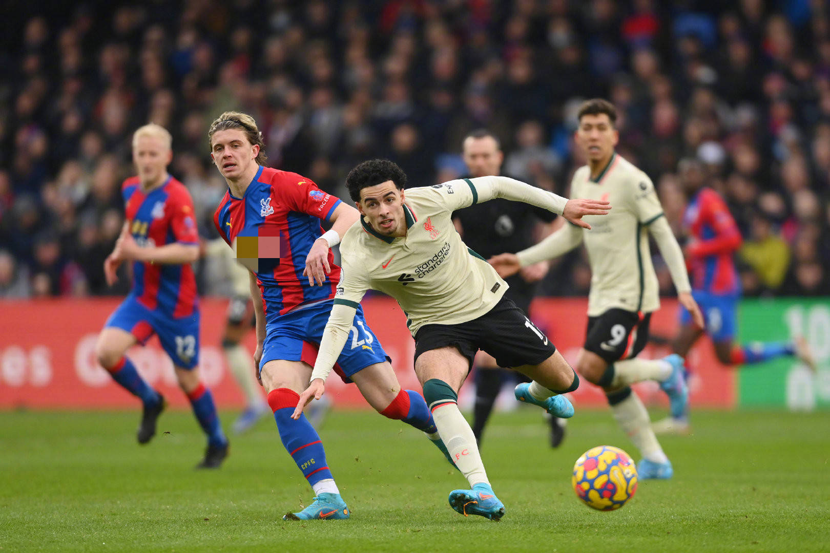 仅可以丰富 仅可以丰富